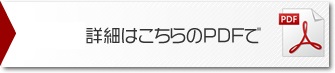 PDF報告書はこちらから